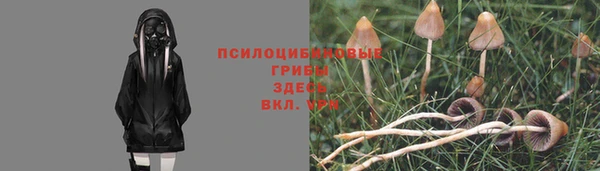 тгк Карпинск